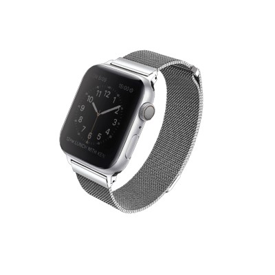 UNIQ Apple Watch 38/40mm Dante Stainless Steel Silver Band