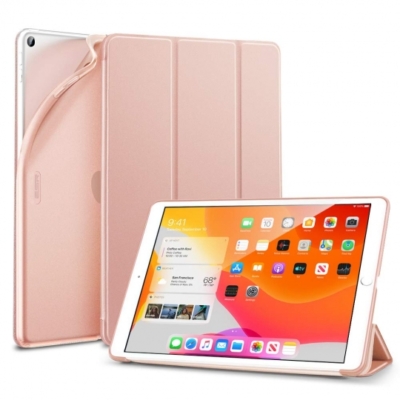 ESR Rebound iPad 10.2 2019 Rose Gold